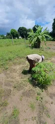 Land for Sale in Kerege Amani - Bagamoyo - 2