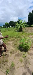 Land for Sale in Kerege Amani - Bagamoyo - 3