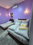 Furnished 4-Bedroom House for Rent in Rock City, Ilemela - 2