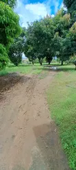 Kiwanja Kinauzwa Kerege, Bagamoyo - Ekari 1.25 - 2