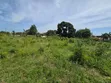 1300 SQM Plot for Sale in Goba - 2