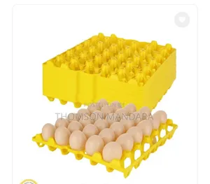 Trei za Mayai za Plastiki 30-Tundu Mpya (Zilizoingizwa)