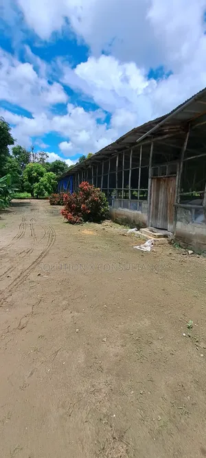 Eneo Linauzwa Kerege Amani, Bagamoyo