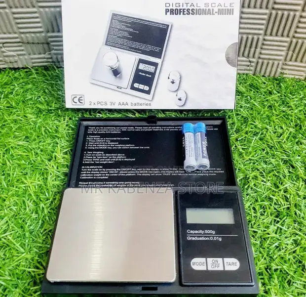 Professional Mini Digital Scale 500g - 1