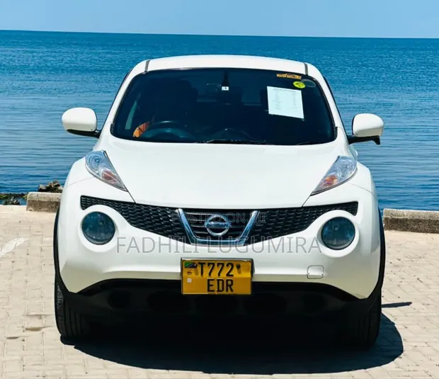 Nissan Juke 2011 White - 1