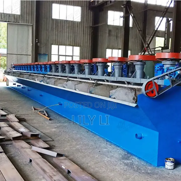 Fine Ore Flotation Separator for Gold Beneficiation - 1