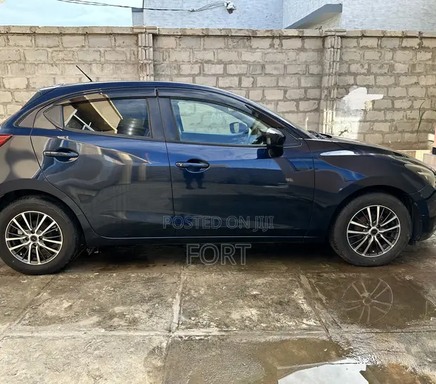 Car Rental with Driver in Dar es Salaam - 1