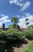 Plot for Sale in Mabibo (Loyola), Dar es Salaam - 4