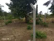 Residential Land for Sale - Mabwepande - 1