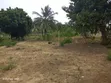 Residential Land for Sale - Mabwepande - 2