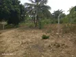 Residential Land for Sale - Mabwepande - 4