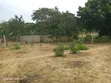 Residential Land for Sale - Mabwepande - 5