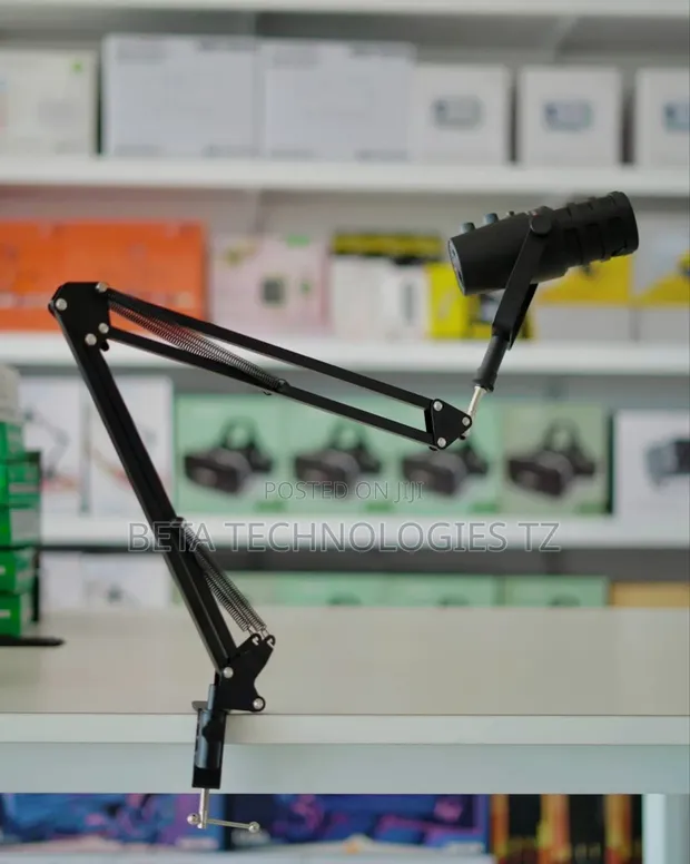 Wireless Microphone with Stand (XLR/USB/Aux) - 1