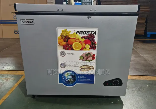 Frosta 300 Litres Chest Freezer - 1