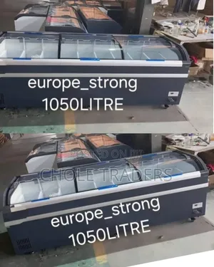 1050L Europe Strong Commercial Display Freezer