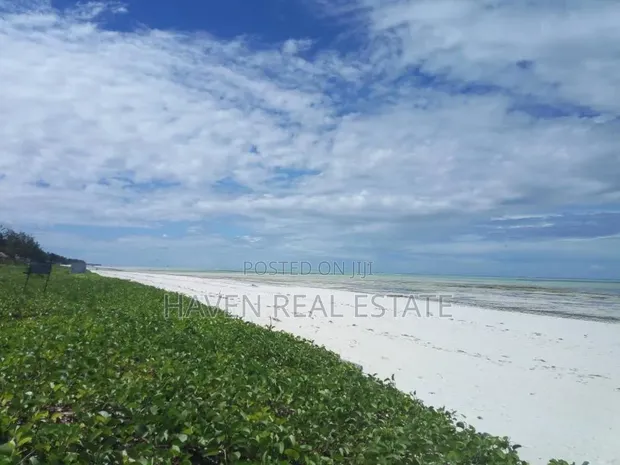 20 Acres Beach Plot for Sale in Kilwa - 1