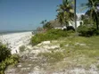 20 Acres Beach Plot for Sale in Kilwa - 3