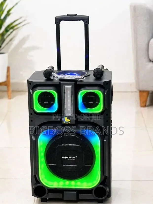 Aborder Party Speaker 60W with 2 Wireless Mics - 1