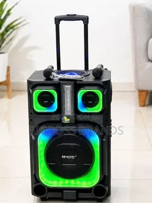Aborder Party Speaker 60W with 2 Wireless Mics