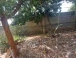 Plot for Sale - Kunduchi Mtongani - 3