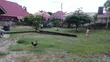 Residential Land with House for Sale, Kimara Temboni - 5