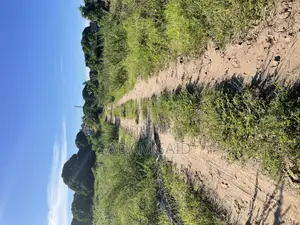 Beach Plot 3800 SQM for Sale, Kigamboni