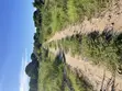 Beach Plot 3800 SQM for Sale, Kigamboni - 1