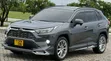 Toyota RAV4 2019 Gray - 2