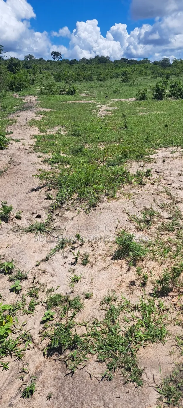 Land for Sale - Mwavi, Bagamoyo (7 Acres) - 1