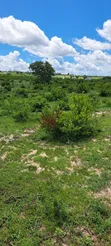 Land for Sale - Mwavi, Bagamoyo (7 Acres) - 2