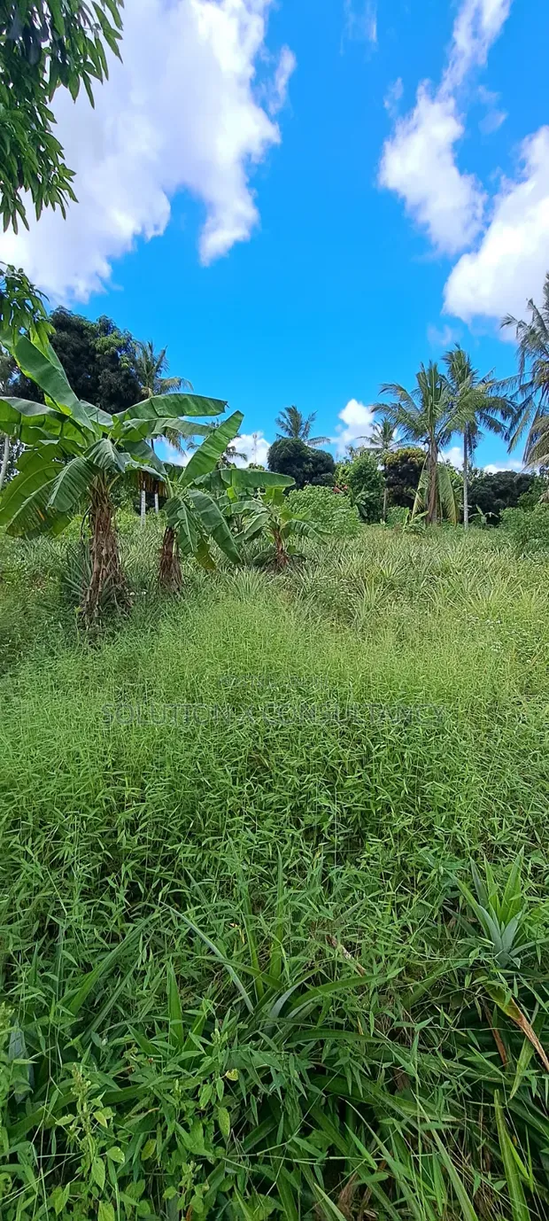 Shamba na Mazao na Nyumba Linauzwa Bago, Bagamoyo - 1
