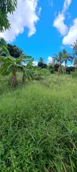 Shamba na Mazao na Nyumba Linauzwa Bago, Bagamoyo - 1