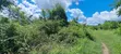 4 Acres Prime Land for Sale, Bago - Roadside - 1