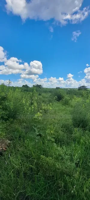 4 Acres Prime Land for Sale, Bago - Roadside