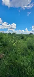 4 Acres Prime Land for Sale, Bago - Roadside - 2