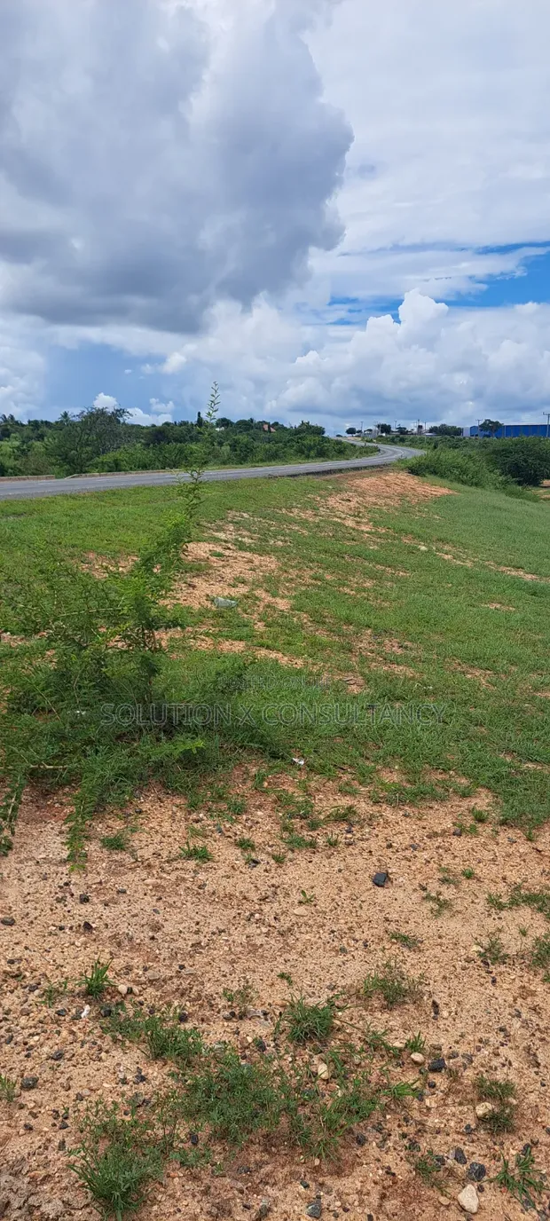 Land for Sale - 3 Acres, Mwavi Bagamoyo (Road Access) - 1