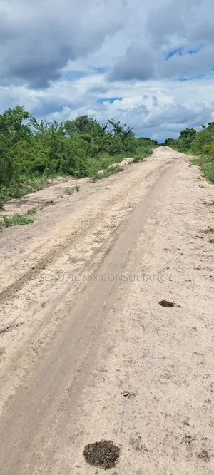 Land for Sale - 3 Acres, Mwavi Bagamoyo (Road Access)