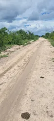 Land for Sale - 3 Acres, Mwavi Bagamoyo (Road Access) - 2