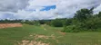 Land for Sale - 3 Acres, Mwavi Bagamoyo (Road Access) - 3