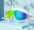 Swimming Goggles - Classic - 2