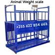 Digital Animal Weight Scale - 3000kg - 1