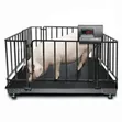 Digital Animal Weight Scale - 3000kg - 2