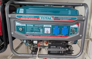 Total Gasoline Generator - 3000W