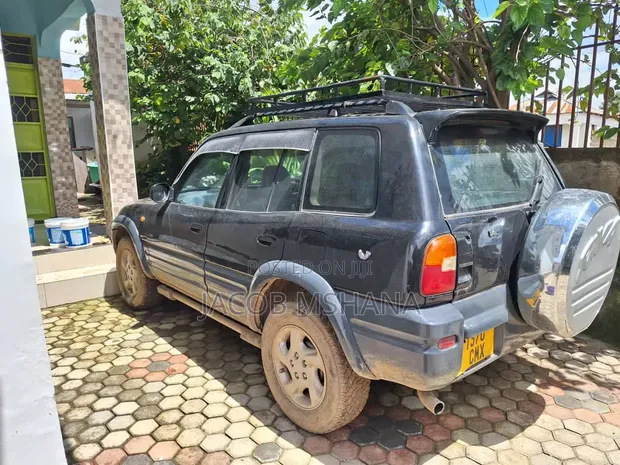 Toyota RAV4 1996 Blue - 1