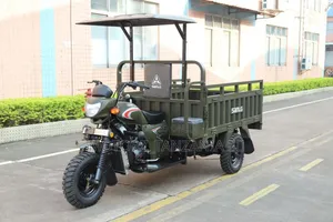 New SanLG SL200ZH Tricycle 2026 Green