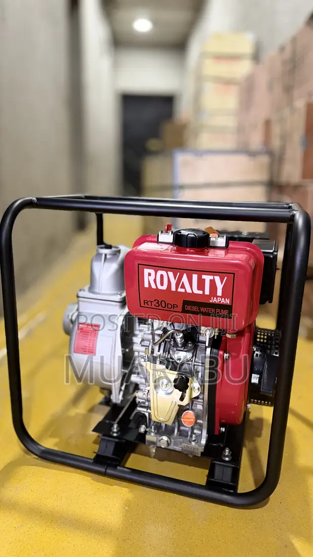 Royalty Diesel Water Pump 3" RT30DP - 1
