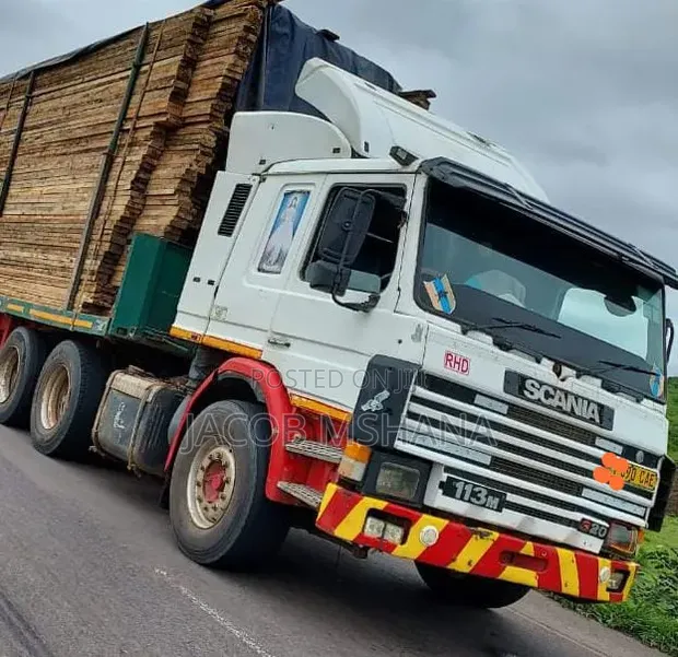 Scania 113 Double Diff Lori - 1