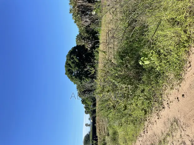 3000 SQM Beach Plot for Sale, Kigamboni - 1