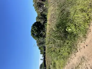 3000 SQM Beach Plot for Sale, Kigamboni