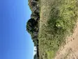 3000 SQM Beach Plot for Sale, Kigamboni - 1